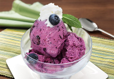 Frozen Greek Yogurt With Blueberries ALDI US