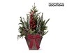 Holiday Planter View 1. Not available in all locations