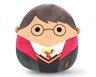 Harry Potter Squishmallows Harry Potter