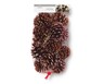 Huntington Home Holiday Pine Cones Glitter