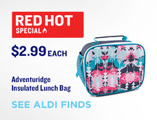 aldi thermal bag