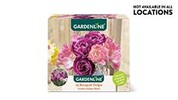 Gardenline Perfect Match Bulbs Assorted Varieties