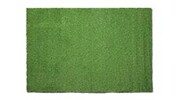 Belavi 4&#039; x 6&#039; Landscape Turf Rug