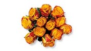 12 Stem Rose Bouquet Assorted Colors