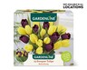 Gardenline Perfect Match Bulbs View 3. Not available in all locations