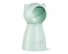 Heart to Tail Cat Laser Green