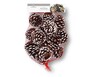 Huntington Home Holiday Pine Cones White Tipped