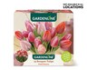 Gardenline Perfect Match Bulbs View 2. Not available in all locations