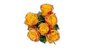 6 Stem Rose Bouquet Assorted Colors