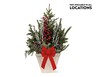 Holiday Planter View 2. Not available in all locations