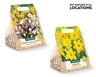 Gardenline Fall Bulbs View 3. Not available in all locations