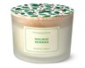 Huntington Home Painted Lid Candle Holiday Berries