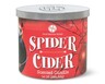 Huntington Home 3 Wick Candle Spider Cider