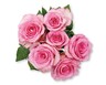 6 Stem Rose Bouquet View 3