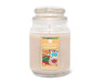 Huntington Home Holiday Cookie Holiday Candle