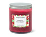 Huntington Home Holiday Cranberry Single Wick Candle