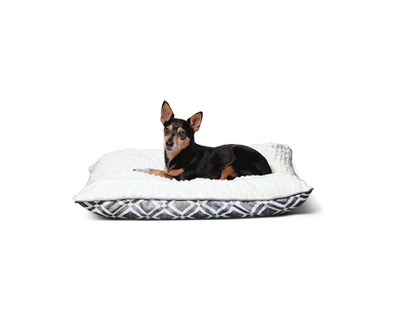 heart to tail sofa friendly pet bed