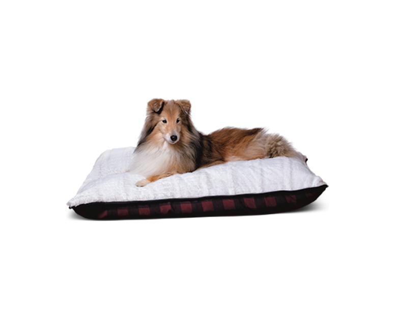 heart to tail sofa friendly pet bed
