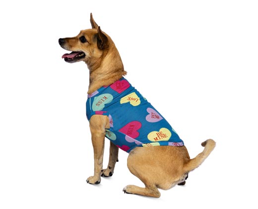 heart to tail dog clothes