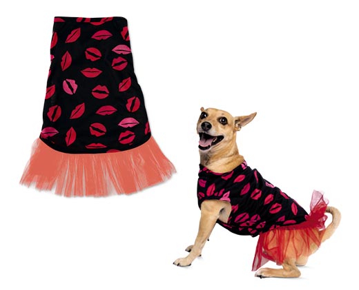 heart to tail dog clothes