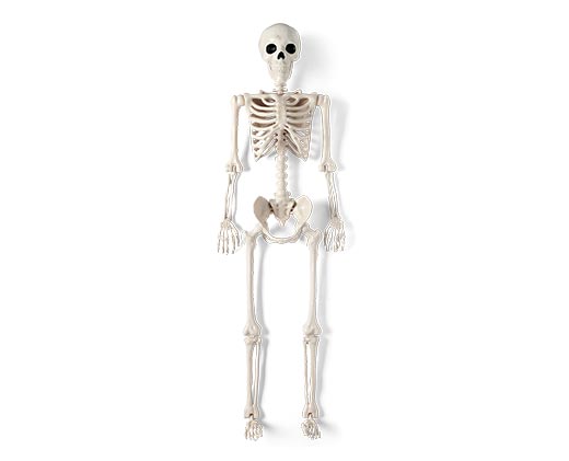 Huntington Home 5 Foot Posable Skeleton