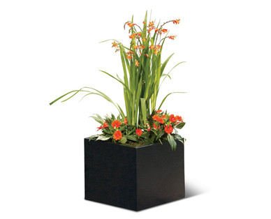  ALDI  US Gardenline Square Stone Planter