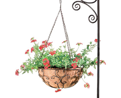 ALDI US - Gardenline Hanging Basket Assortment